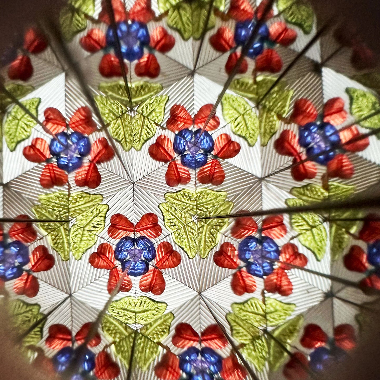 Kaleidoskop fsc-dino