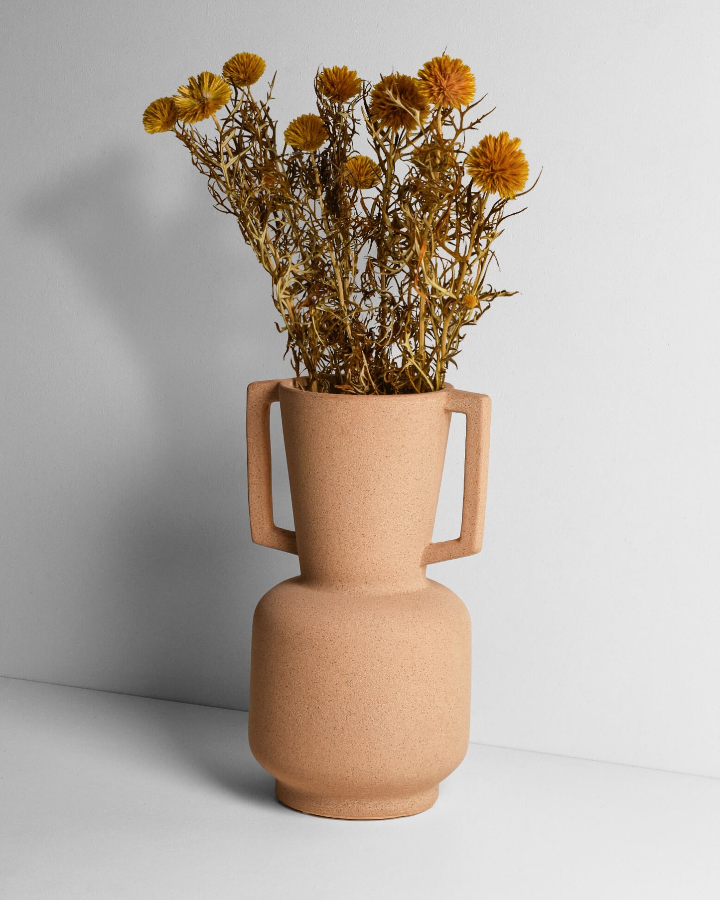 Trockenblume Echinops - Dunkelgelb